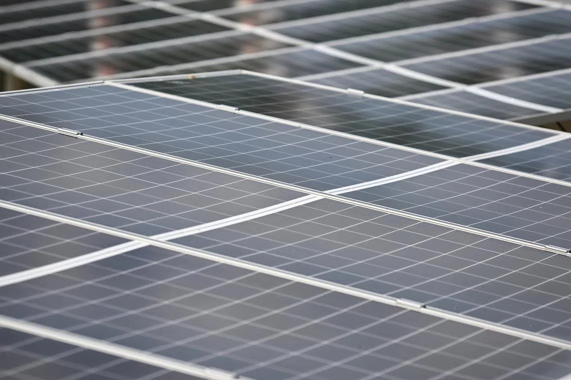 Solar farm panels in New Zealand